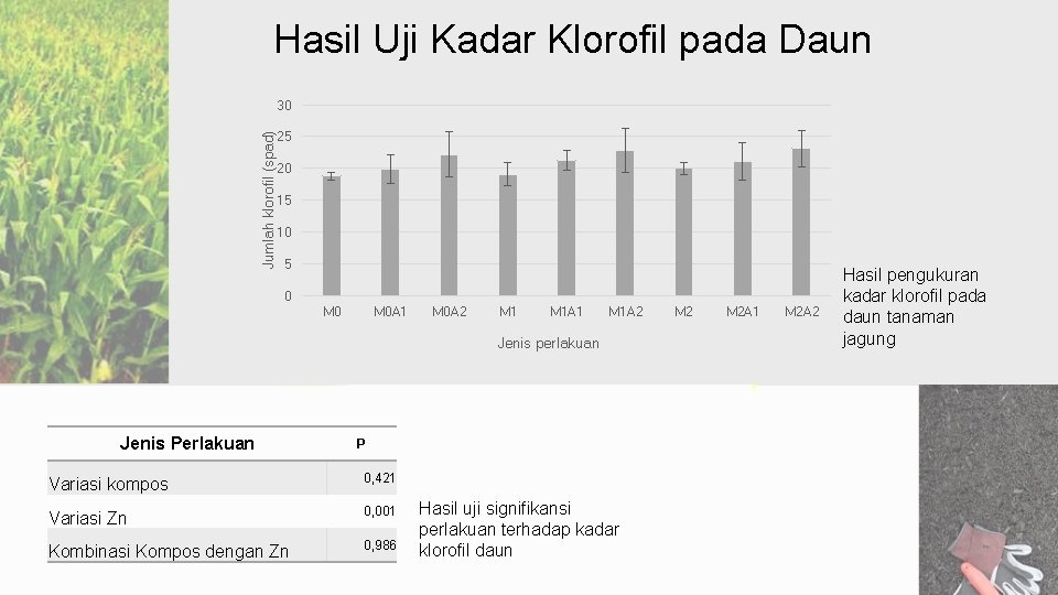 Hasil Uji Kadar Klorofil pada Daun Jumlah klorofil (spad) 30 25 20 15 10