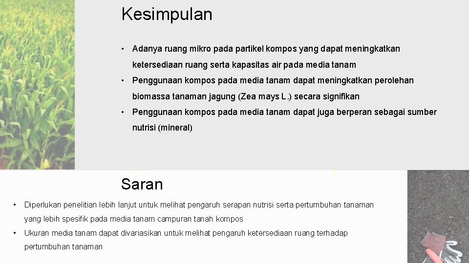 Kesimpulan • Adanya ruang mikro pada partikel kompos yang dapat meningkatkan ketersediaan ruang serta