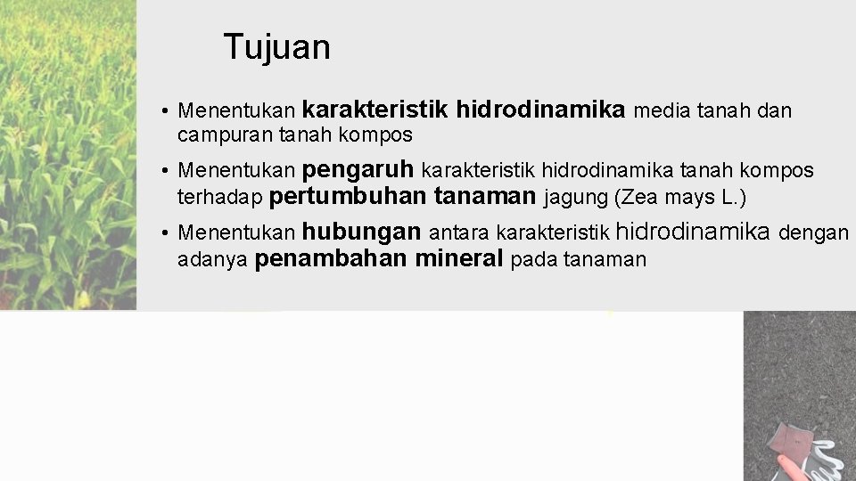 Tujuan • Menentukan karakteristik hidrodinamika media tanah dan campuran tanah kompos • Menentukan pengaruh