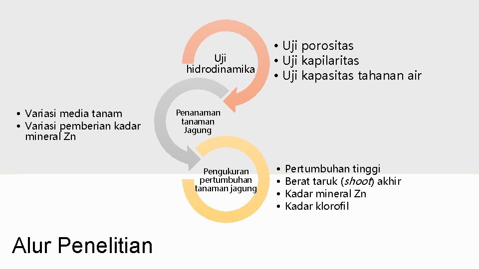 Uji hidrodinamika • Variasi media tanam • Variasi pemberian kadar mineral Zn Penanaman tanaman