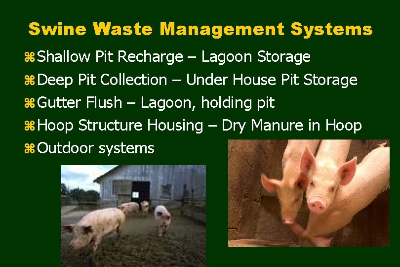 Swine Waste Management Systems z Shallow Pit Recharge – Lagoon Storage z Deep Pit