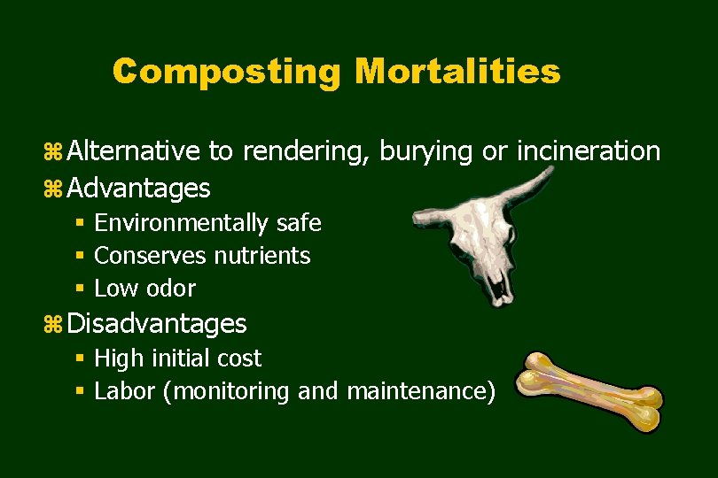 Composting Mortalities z Alternative to rendering, burying or incineration z Advantages § Environmentally safe