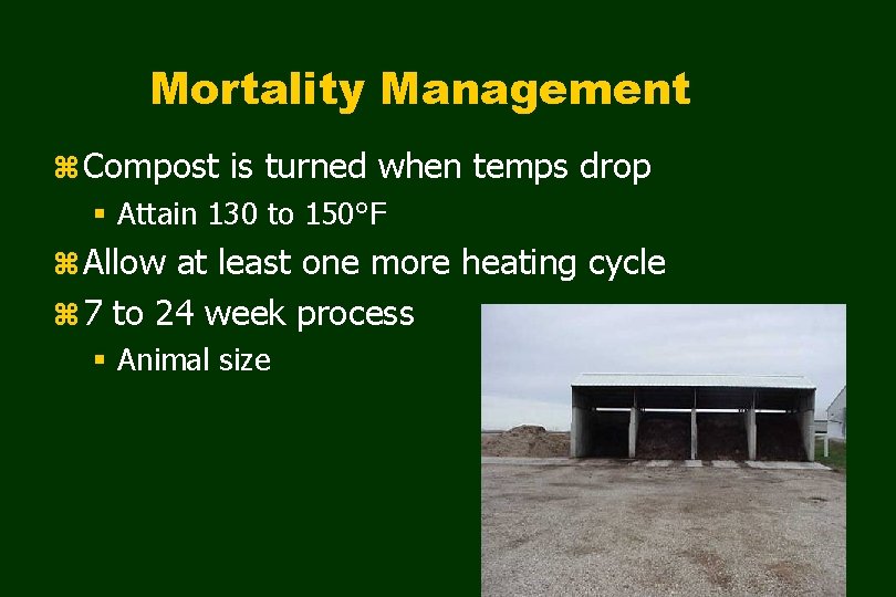 Mortality Management z Compost is turned when temps drop § Attain 130 to 150°F