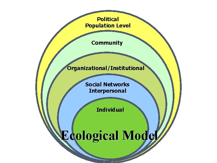 Political Population Level Community Organizational/Institutional Framework: Social Networks Interpersonalof Health Social Determinants Individual Ecological