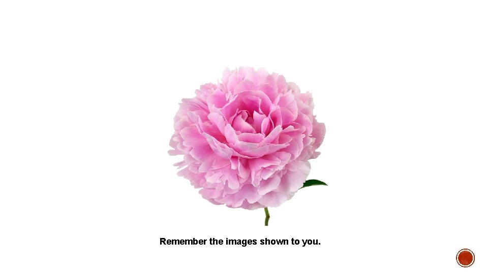 Remember the images shown to you. 