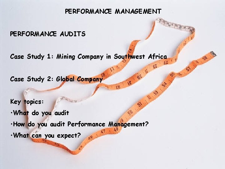 PERFORMANCE MANAGEMENT PERFORMANCE AUDITS Case Study 1: Mining Company in Southwest Africa Case Study