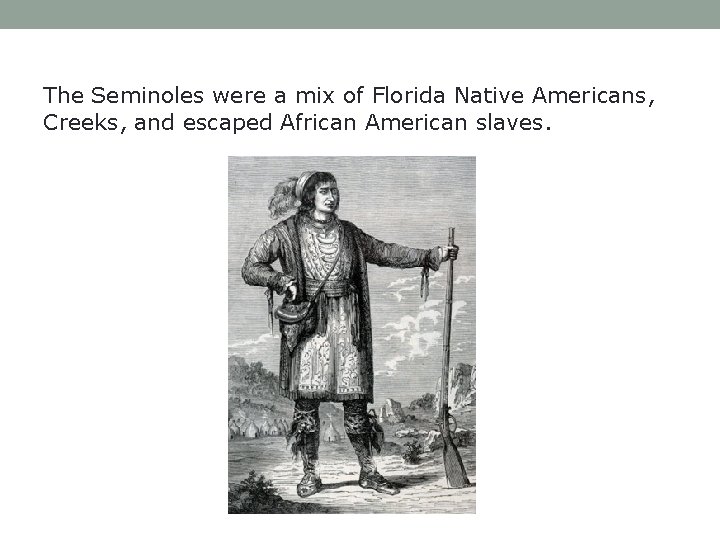 The Seminoles were a mix of Florida Native Americans, Creeks, and escaped African American