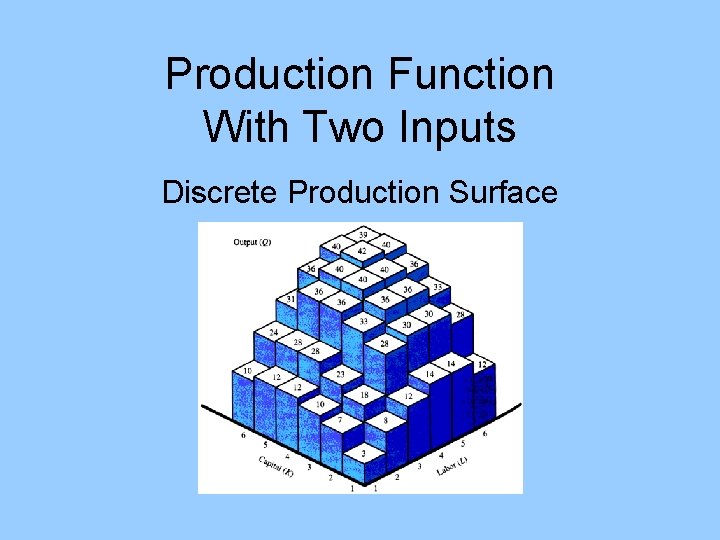 Production Function With Two Inputs Discrete Production Surface 