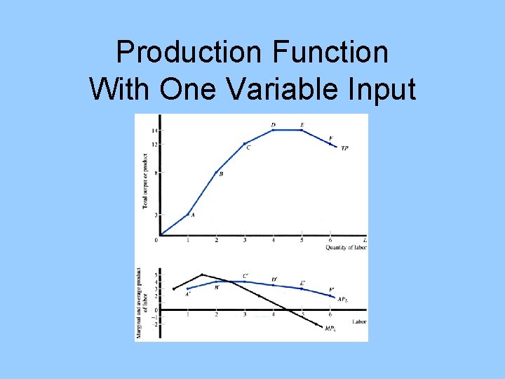 Production Function With One Variable Input 