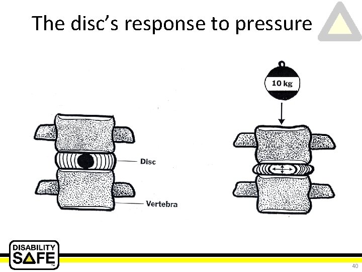 The disc’s response to pressure 40 