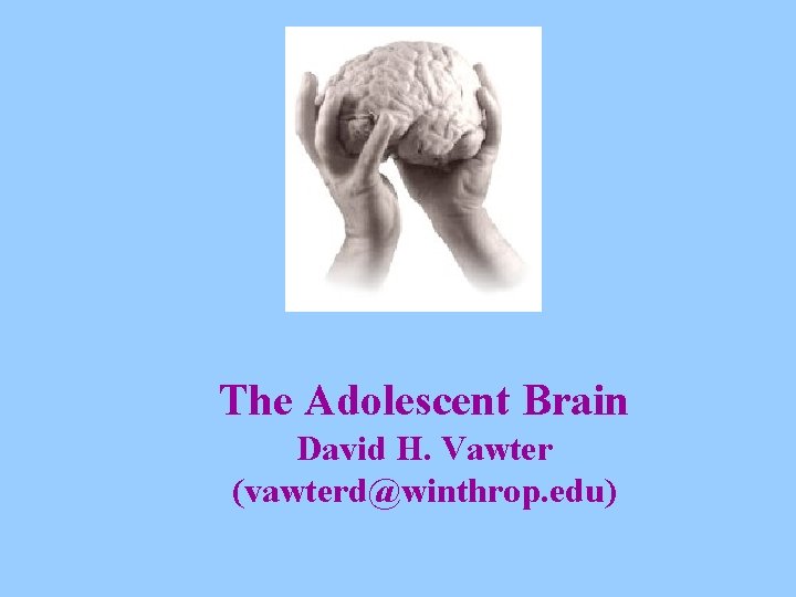 The Adolescent Brain David H. Vawter (vawterd@winthrop. edu) 