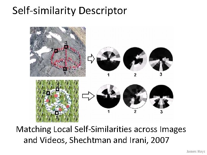 Self-similarity Descriptor Matching Local Self-Similarities across Images and Videos, Shechtman and Irani, 2007 James