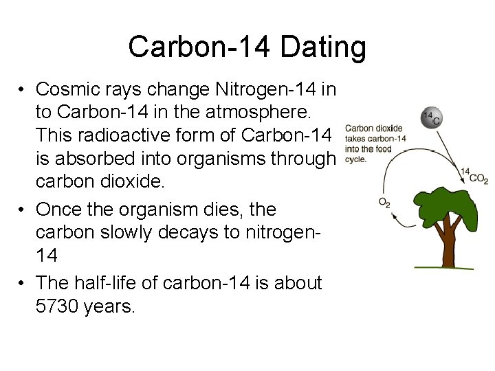 Carbon-14 Dating • Cosmic rays change Nitrogen-14 in to Carbon-14 in the atmosphere. This