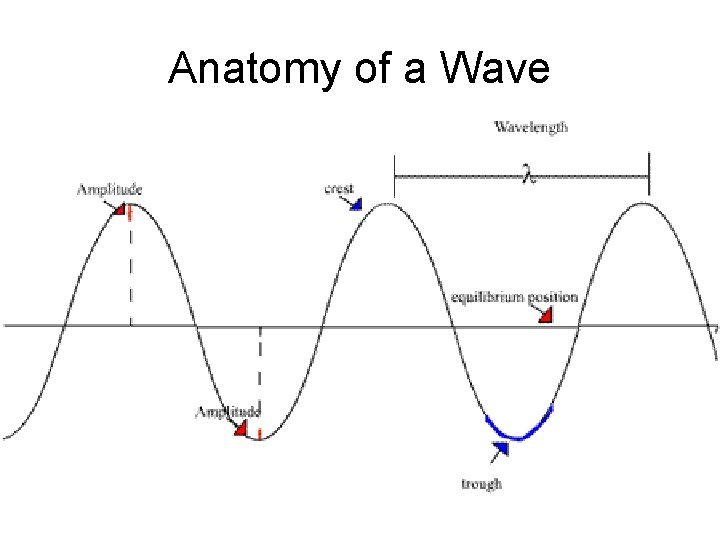 Anatomy of a Wave 