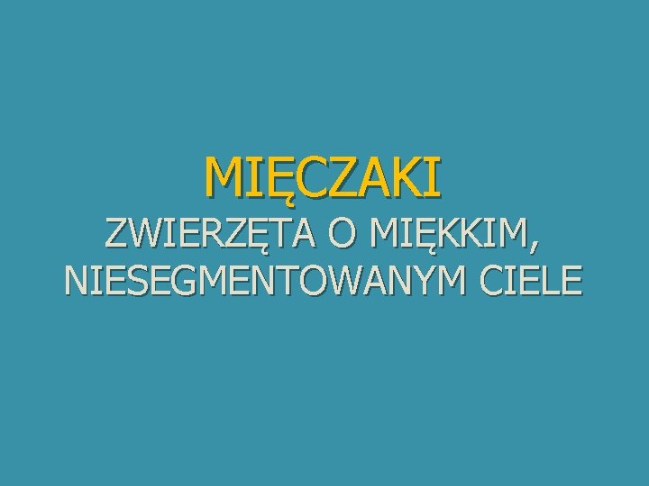 MIĘCZAKI ZWIERZĘTA O MIĘKKIM, NIESEGMENTOWANYM CIELE 