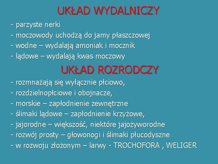 UKŁAD WYDALNICZY - parzyste nerki - moczowody uchodzą do jamy płaszczowej - wodne –