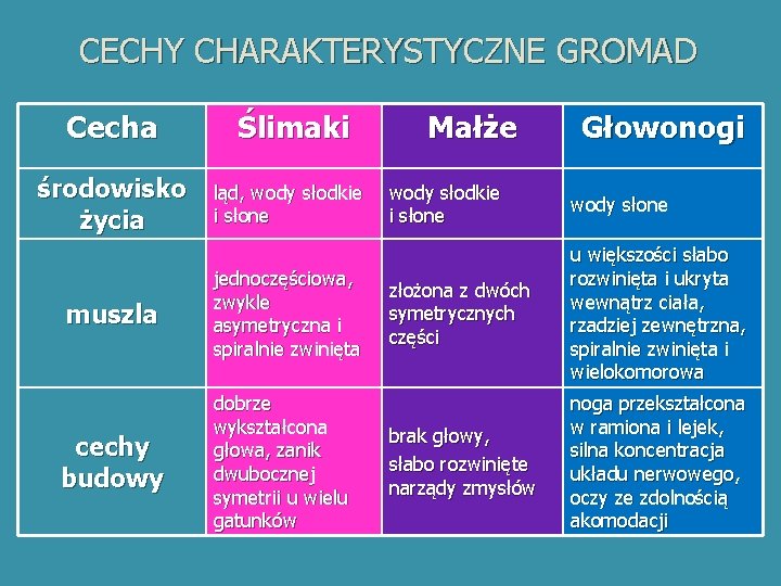 CECHY CHARAKTERYSTYCZNE GROMAD Cecha Ślimaki środowisko życia ląd, wody słodkie i słone muszla jednoczęściowa,