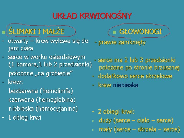 UKŁAD KRWIONOŚNY n ŚLIMAKI I MAŁŻE n GŁOWONOGI - otwarty – krew wylewa się