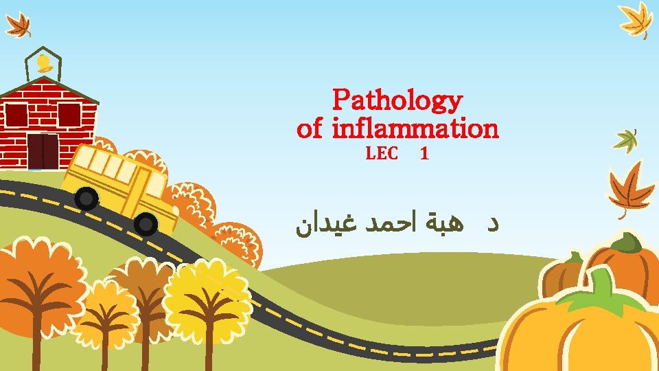 Pathology of inflammation LEC 1 ﺩ ﻫﺒﺔ ﺍﺣﻤﺪ ﻏﻴﺪﺍﻥ 