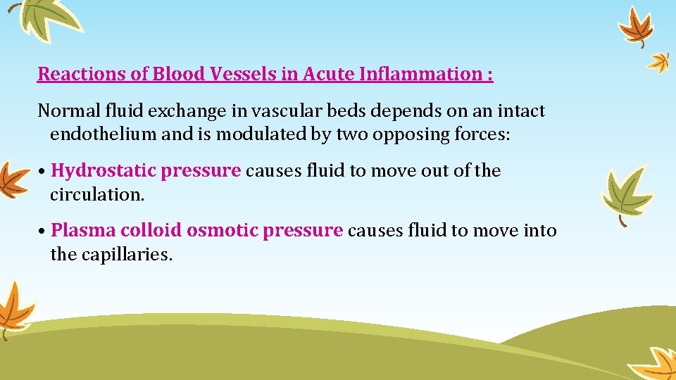 Reactions of Blood Vessels in Acute Inflammation : Normal fluid exchange in vascular beds