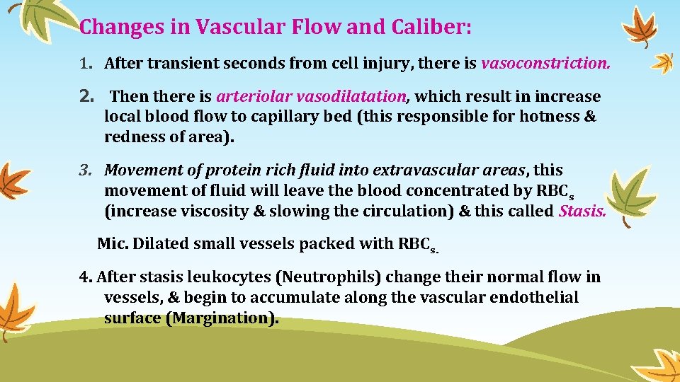 Changes in Vascular Flow and Caliber: 1. After transient seconds from cell injury, there