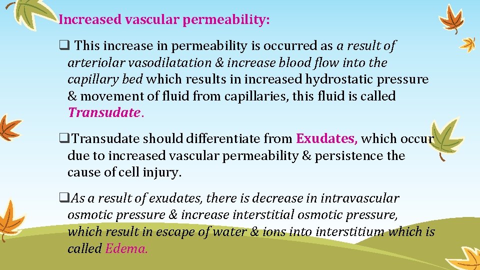 Increased vascular permeability: q This increase in permeability is occurred as a result of