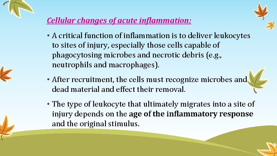 Cellular changes of acute inflammation: • A critical function of inflammation is to deliver