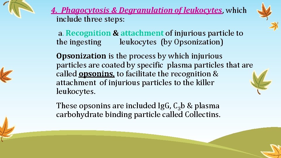 4. Phagocytosis & Degranulation of leukocytes, which include three steps: a. Recognition & attachment