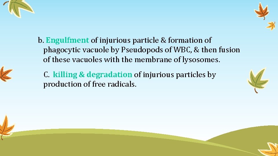 b. Engulfment of injurious particle & formation of phagocytic vacuole by Pseudopods of WBC,