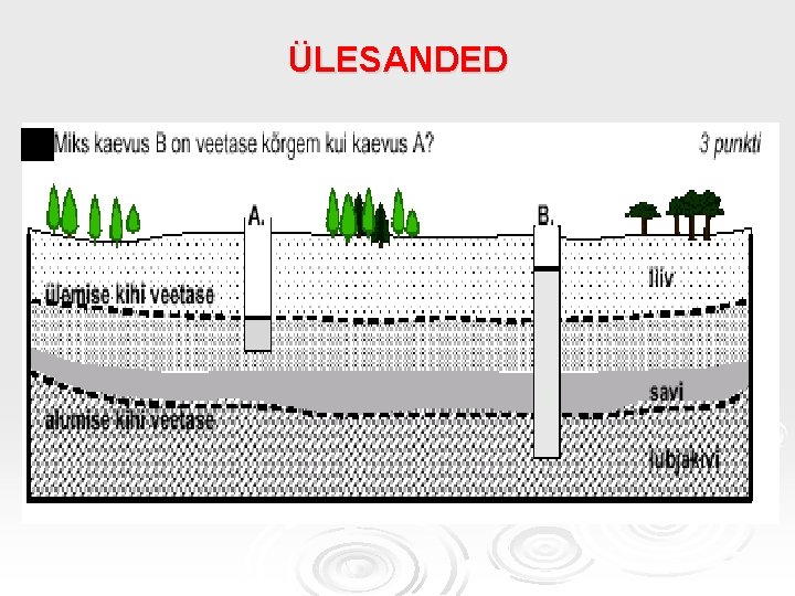 ÜLESANDED ÜLESANDED