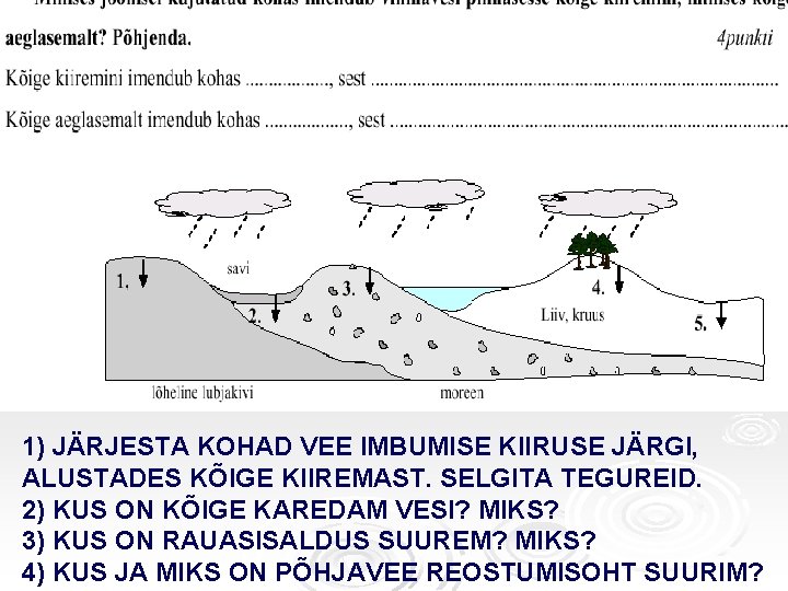 1) JÄRJESTA KOHAD VEE IMBUMISE KIIRUSE JÄRGI, ALUSTADES KÕIGE KIIREMAST. SELGITA TEGUREID. 2) KUS 1) JÄRJESTA KOHAD VEE IMBUMISE KIIRUSE JÄRGI, ALUSTADES KÕIGE KIIREMAST. SELGITA TEGUREID. 2) KUS