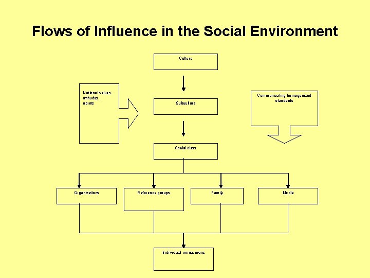 Flows of Influence in the Social Environment Culture National values, attitudes, norms Communicating homogenized