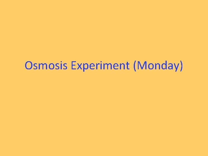 Osmosis Experiment (Monday) 