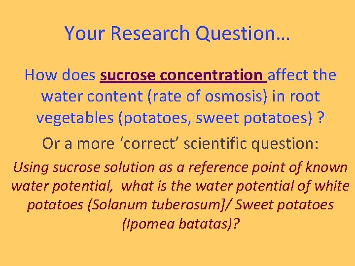 Your Research Question… How does sucrose concentration affect the water content (rate of osmosis)