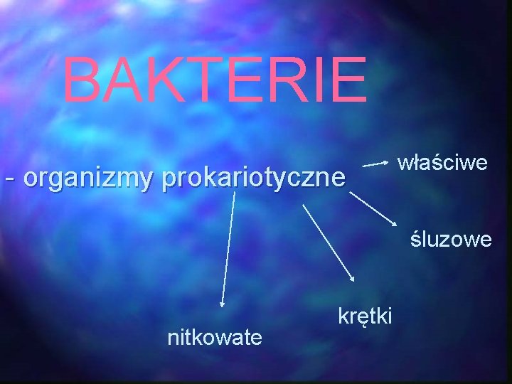 BAKTERIE - organizmy prokariotyczne właściwe śluzowe nitkowate krętki 