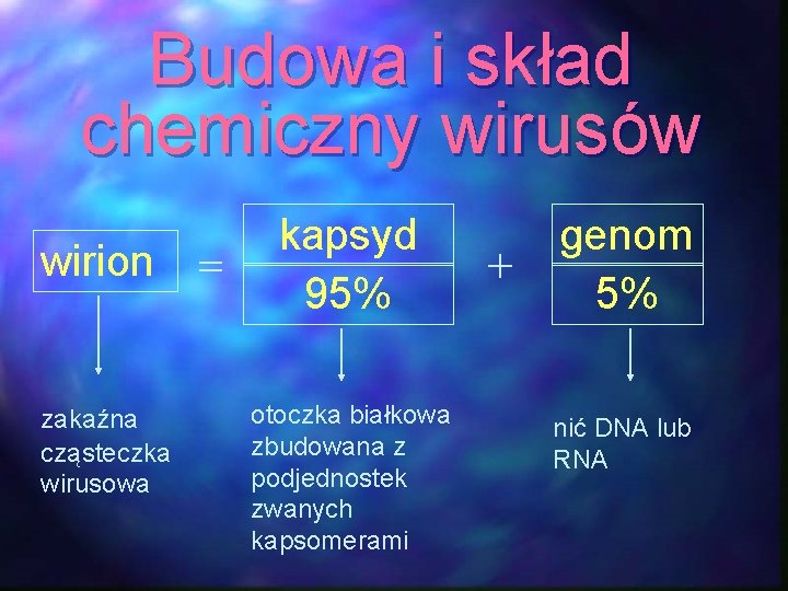 Budowa i skład chemiczny wirusów wirion = zakaźna cząsteczka wirusowa kapsyd 95% otoczka białkowa