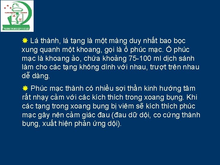  Lá thành, lá tạng là một màng duy nhất bao bọc xung quanh