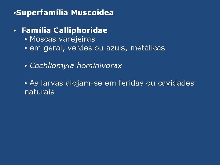  • Superfamília Muscoidea • Família Calliphoridae • Moscas varejeiras • em geral, verdes