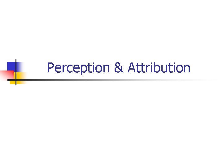 Perception & Attribution 