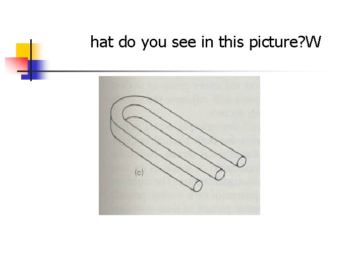 hat do you see in this picture? W 