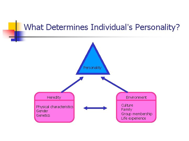 What Determines Individual’s Personality? Personality Heredity Environment Physical characteristics Gender Genetics Culture Family Group