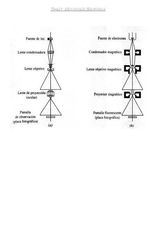 Tema 3. Microscopía Electrónica 