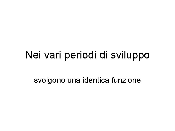 Nei vari periodi di sviluppo svolgono una identica funzione 