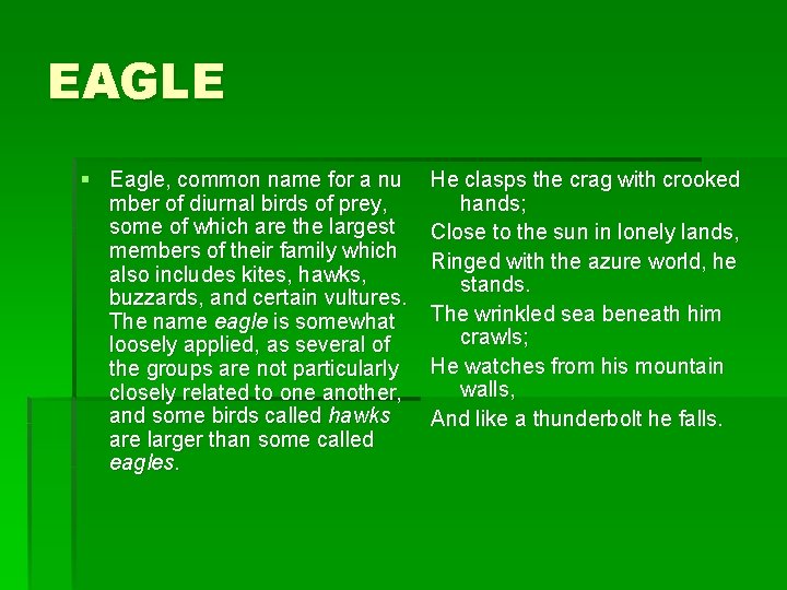 EAGLE § Eagle, common name for a nu mber of diurnal birds of prey,