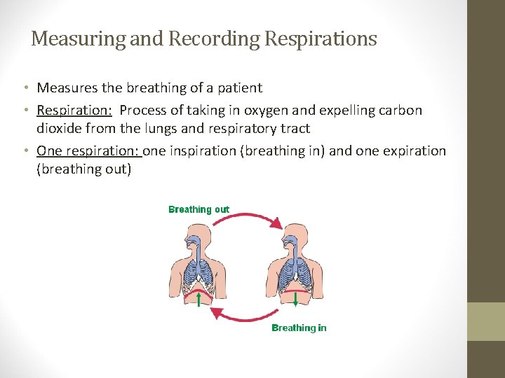 Measuring and Recording Respirations • Measures the breathing of a patient • Respiration: Process