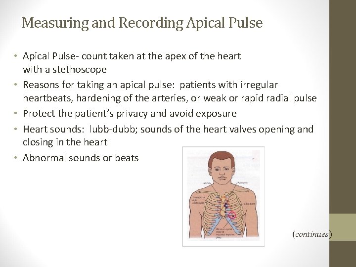 Measuring and Recording Apical Pulse • Apical Pulse- count taken at the apex of