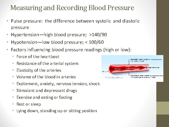 Measuring and Recording Blood Pressure • Pulse pressure: the difference between systolic and diastolic