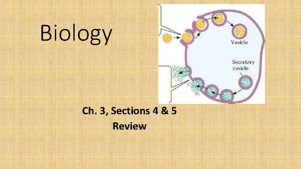 Biology Ch. 3, Sections 4 & 5 Review 