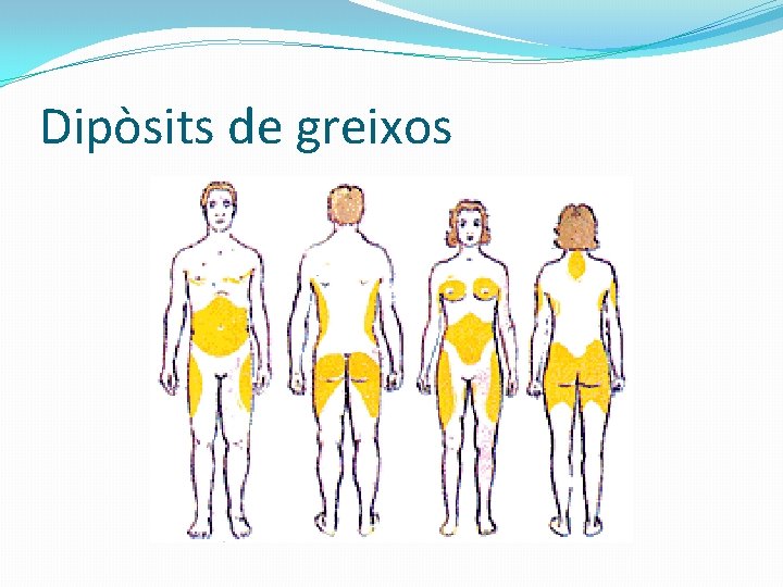 Dipòsits de greixos 