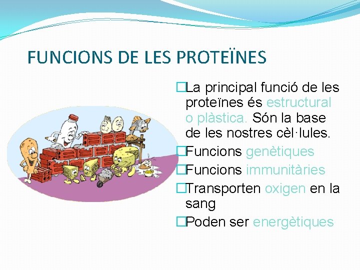 FUNCIONS DE LES PROTEÏNES �La principal funció de les proteïnes és estructural o plàstica.